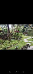 Ang Mo Kio Avenue 5 (D20), Terrace #496398811
